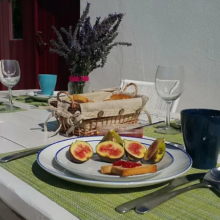 Casa Da Escola Guest house